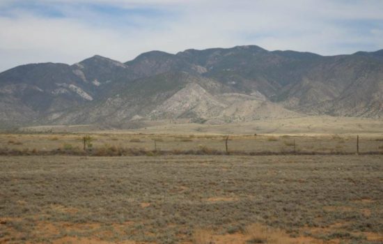 $650.00 FULL CASH PRICE Financing Available 0.25 Acres in Valencia County